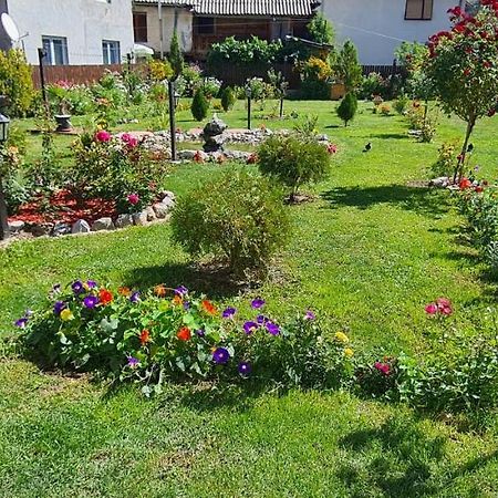 Hotel Stone Tower Plav Zewnętrze zdjęcie